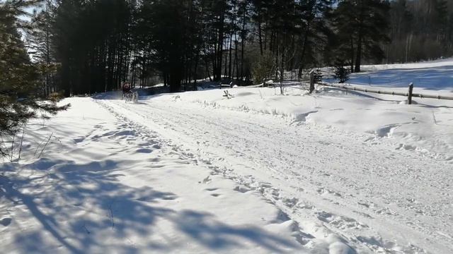 По седому Алтаю 2021! смотреть онлайн