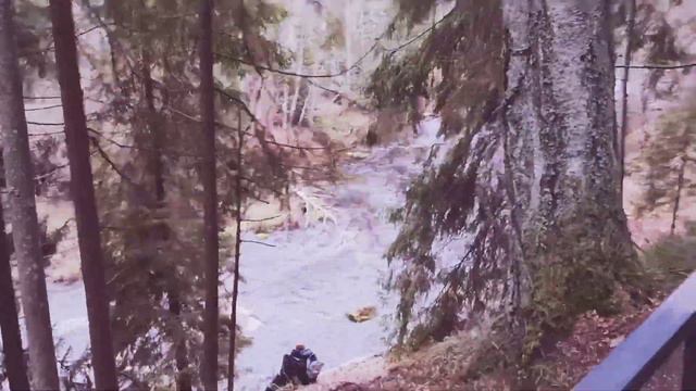 Линдуловская лиственная роща.