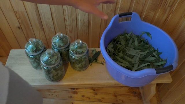 Иван Чай. Сбор и переработка листа кипрея. Часть 1. Чай в гранулах. смотреть онлайн