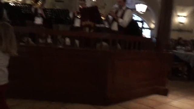 World Famous Hofbrauhaus Munich