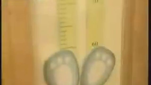 Яркое освещение детской с ТЦ "Brille" смотреть онлайн