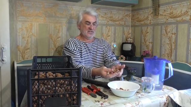 10 способов расколоть грецкие орехи. Как расколоть грецкий орех