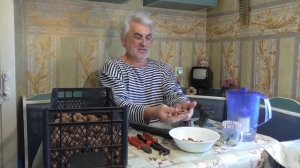 10 способов расколоть грецкие орехи. Как расколоть грецкий орех