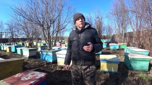 КАК УВЕЛИЧИТЬ ПАСЕКУ В ДВОЕ, УЙТИ ОТ РОЕНИЯ И ПОЛУЧИТЬ ТОВАРНЫЙ МЁД