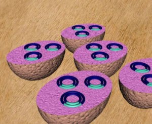 СХЕМА КЛОНИРОВАНИЯ ДНК