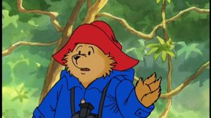 The Adventures of Paddington Bear 109