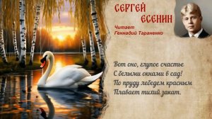 #НПРМЕР. Вот оно глупое счастье. Стихотворение Сергея Есенина. Читает Геннадий Тараненко