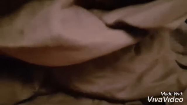 Простыня трикотажная.Размер 160×200 наволочки 70×70 смотреть онлайн