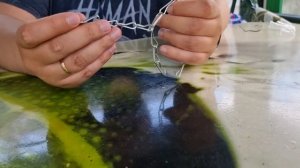 Боримся с комарами, слепнями, оводами и др на даче!