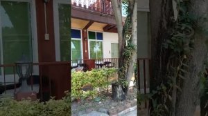 Avila resort Pattaya