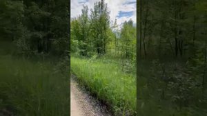 Продаётся участок в Липецкой области в с. Рогожино