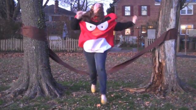 Angry Birds Projectile Project смотреть онлайн