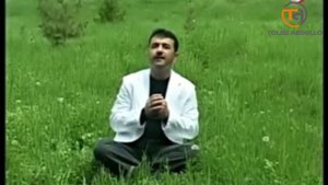Толиби Абдулло - Кабки дарӣ #обунашавед #подписывайтесь