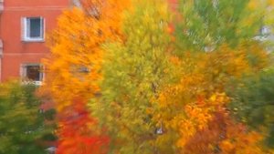 Висагинас Бабье лето (Visaginas Indian summer)