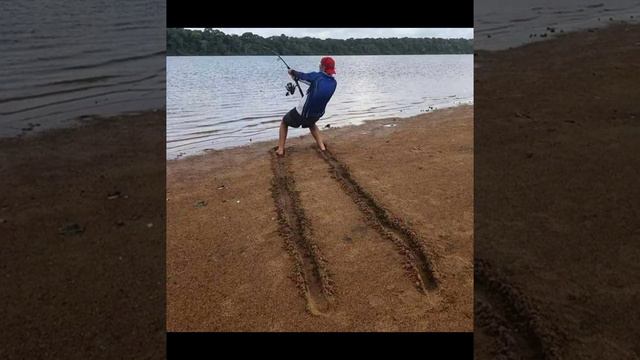 приколы смотреть онлайн