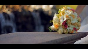 Свадебное видео Бровары, видеооператор на свадьбу Белая церковь