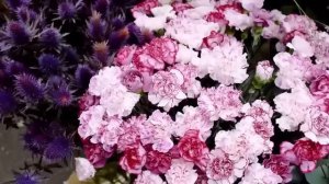 Ради смеха одноклассники пригласили на встречу выпускников "серую мышь". Но когда она вошла...