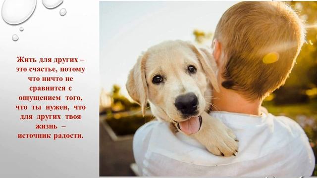 Служение Другим Служение Себе, урок самопознания №22 смотреть онлайн