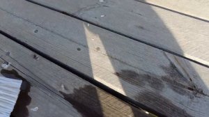 НЕобычный Шланг для аэрации пруда за#бился