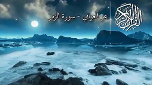 прекрасное чтение Корана izzuddin al awamy #коран #нашид #сура #шейх #quran