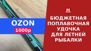 Удочка с ОЗОНА за 1000 рублей. Бюджетная Поплавочная Болонская летняя удочка.
