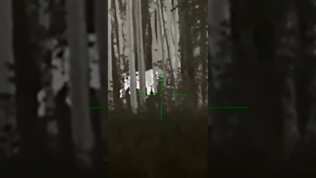 Тепловизионный прицел для охоты iRay дистанция 150 м. смотреть онлайн