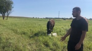 ПОКА ЖЕНА В БОЛЬНИЦЕ Я РАСПРОДАЮ ХОЗЯЙСТВО! ИХ СТАНОВИТСЯ ВСЕ МЕНЬШЕ! ЖИЗНЬ ПРОСТЫХ ЛЮДЕЙ В ДЕРЕВНЕ