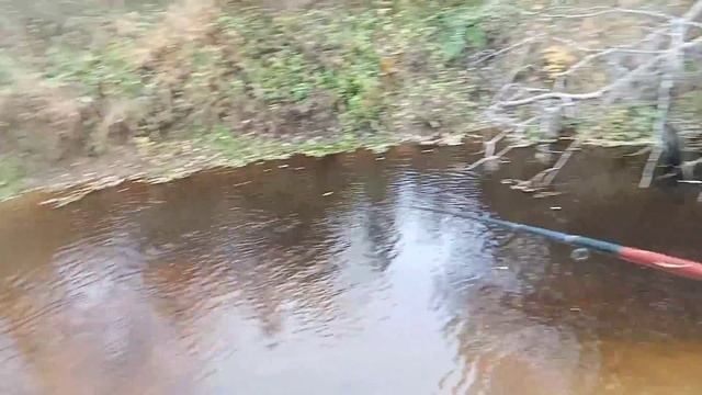 ВСЁ ПРОСТО! Как ловить хариуса поплавочной удочкой? Таежный ручей РАЗДАЁТ! Лови вот так!