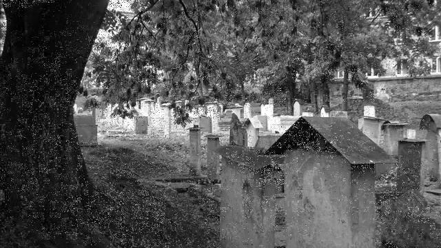 spirit polish смотреть онлайн