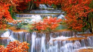 Люба, королева моя.