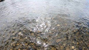 Горная рыбалка Дальний восток Анюй