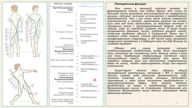 Функциональные линии