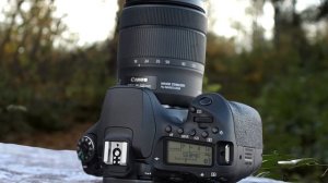 Best DSLR Cameras in 2023 - Which Is The Best One For You?