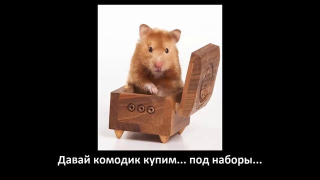 Мы хомяки и мы хомячим ! смотреть онлайн
