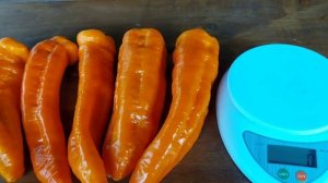 Лисий хвост. Обзор сладкого перца. Сезон 2023.