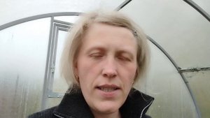 ?результаты выгонки лука на зелень?
