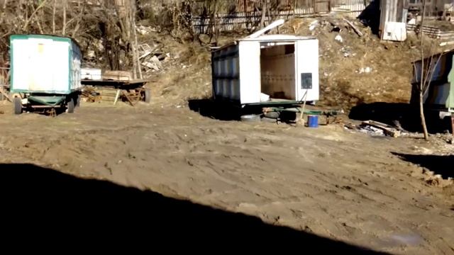 Газель и павельоны для пчел!