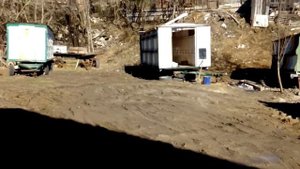 Газель и павельоны для пчел!