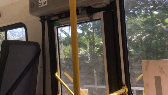 Солоники. Сочи 31 июля 2021 смотреть онлайн