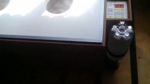 Инкубатор БЛИЦ 72 цифровой