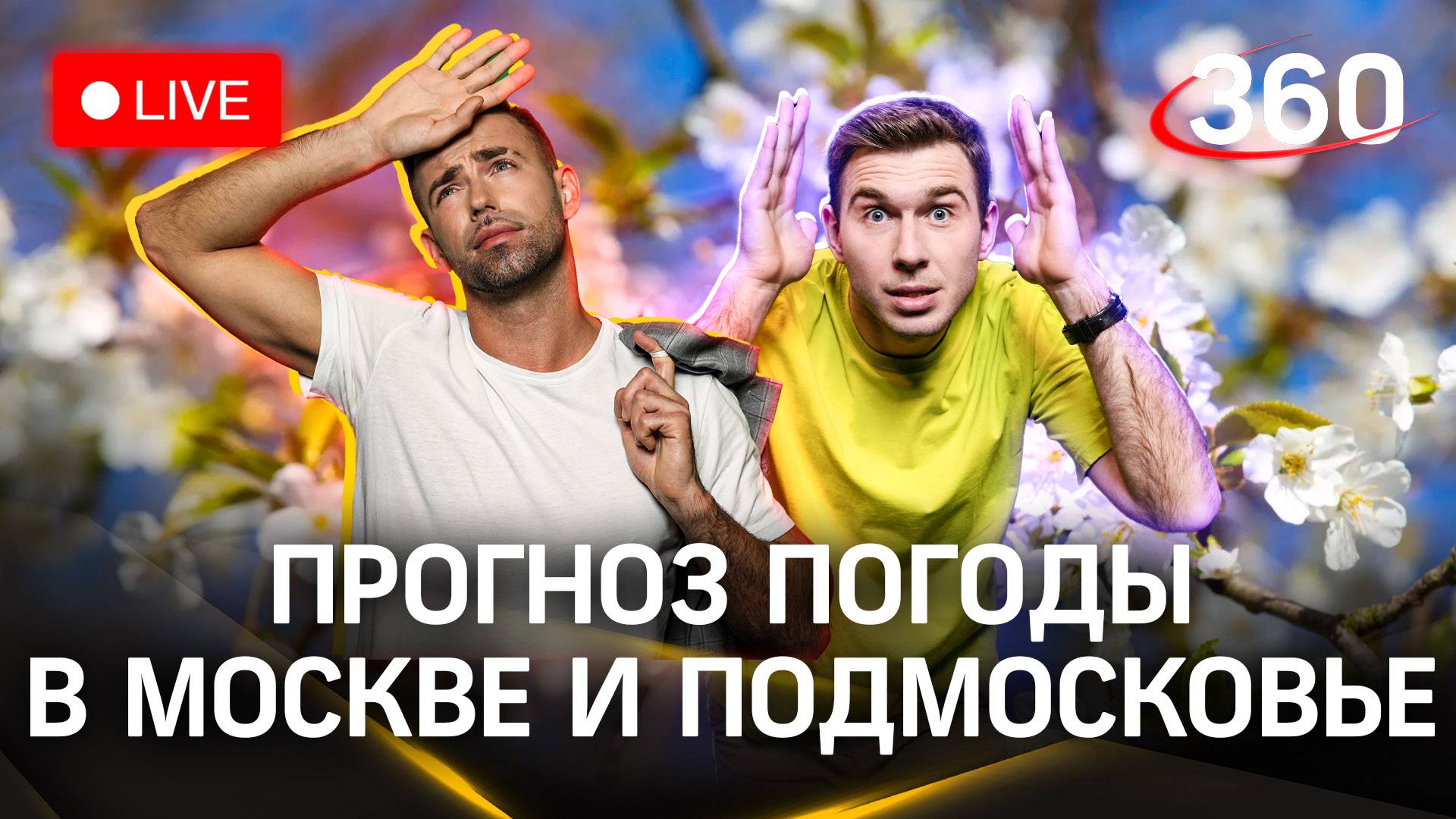 Метеострим: весенние развлечения в Подмосковье | Шубенков. Илич