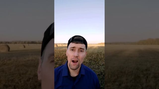 Одинокая ветка сирени. Песня для сна. смотреть онлайн