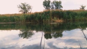 РЫБАЛКА: ловля карпят и карасей