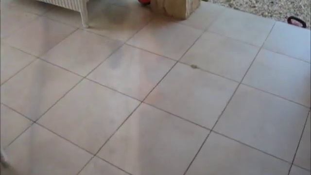 Портативный ирригатор полости рта YASI FL-V8 смотреть онлайн