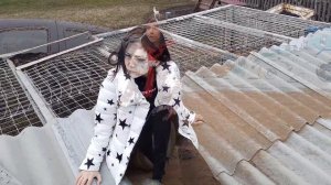 Лютики💗///Просто Лера🍂Клип🌾@prostolera___