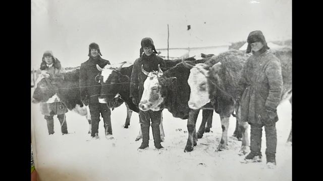 Видео обзор "Летопись сел" - Залиман, Галиевка, Грушовое. Богучарский музей. Богучар. смотреть онлайн
