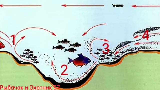 Почему рыба стоит на бровке? смотреть онлайн