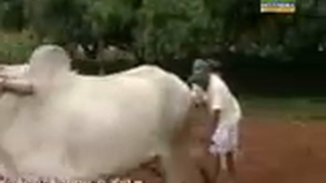 Baro baaro basavanna смотреть онлайн