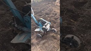 Электрокультиватор Hyundai T2000E почти терминатор...спустя 3 года