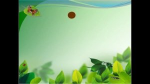 презентация звери млекопитающие 1 класс